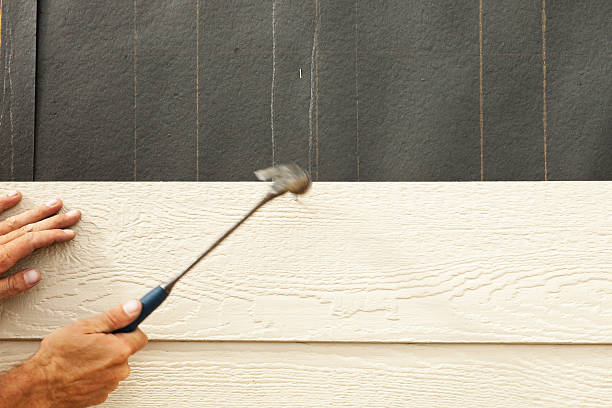 Best Custom Trim and Detailing for Siding  in Shady Point, OK